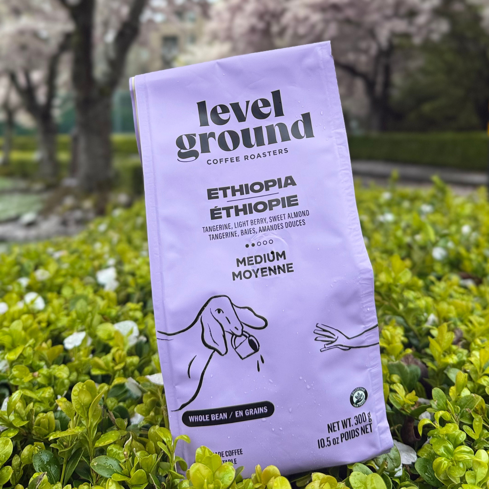 Level Ground Coffee Roasters
